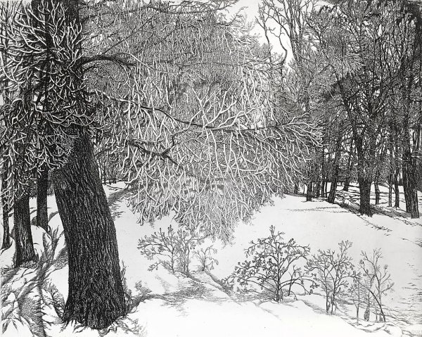 Никиреев Станислав Михайлович (7.11.1932 - 24.08.2007)