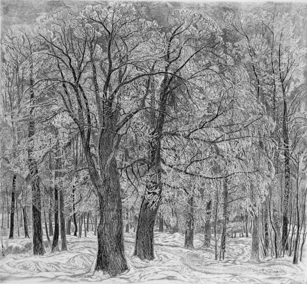 Станислав Никиреев художник