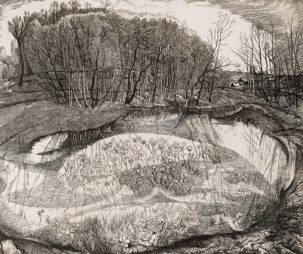 Графика Станислав Михайлович Никиреев