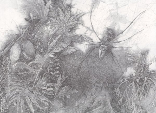 Никиреев Торжок Церковь Вознесения