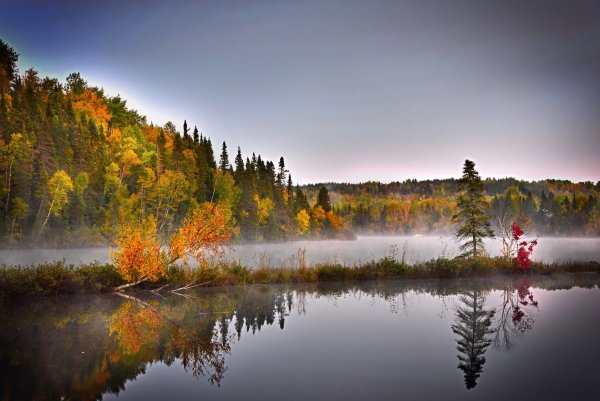 Природа отражение