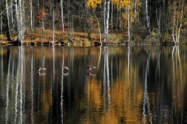 Осень озеро