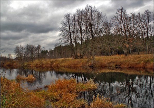 Поздняя осень иллюстрации