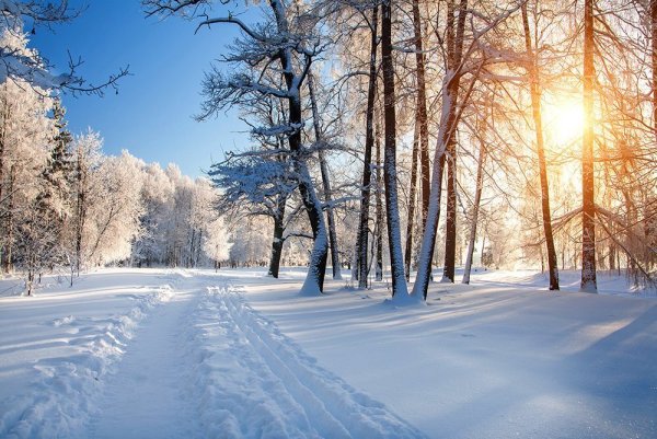 Зимний парк