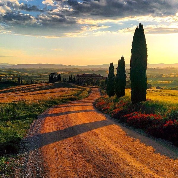 +Лес +Италия Тоскана