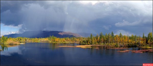 Озеро Таймыр осень