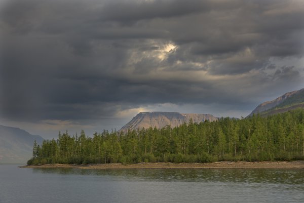 Таймыр плато Путорана