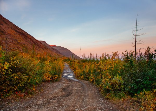 Талнах тундра