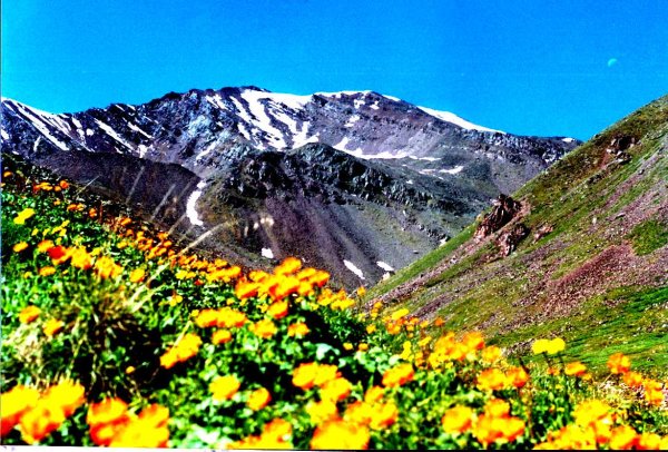 Республика Тува природа