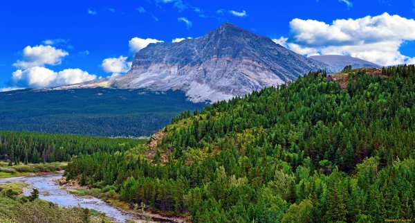 Республика Тыва Тайга