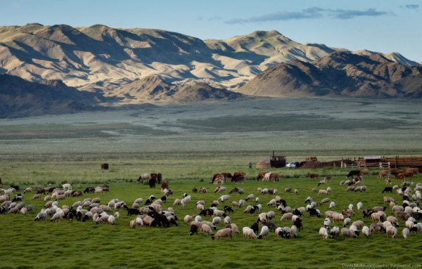 Монгун-Тайга гора