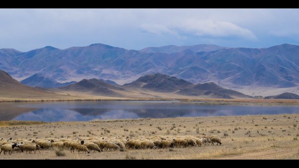 Окинский район Бурятия природа