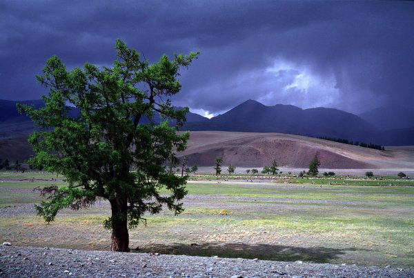 Пейзаж Республики Тыва