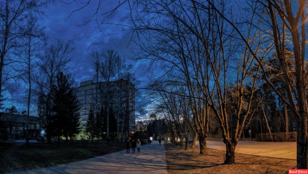 Весна в Академгородке Новосибирск