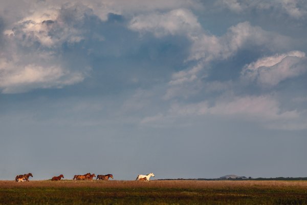 С. Степное Калмыкия