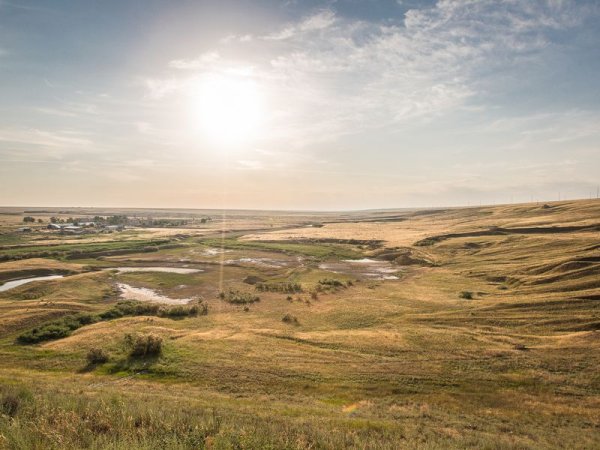 Муганская степь Калмыкия