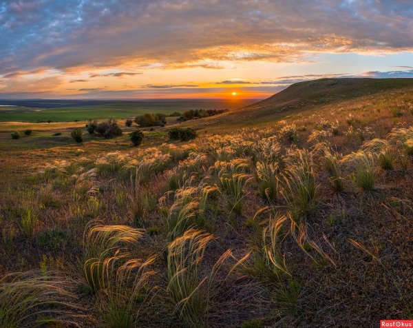 Республика Калмыкия степь