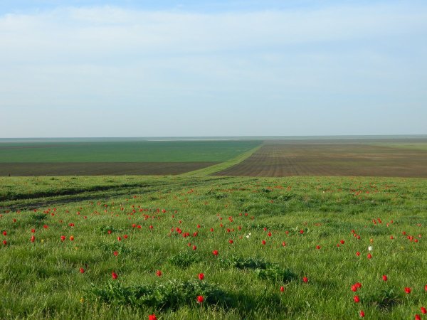Меклетинский государственный природный заказник