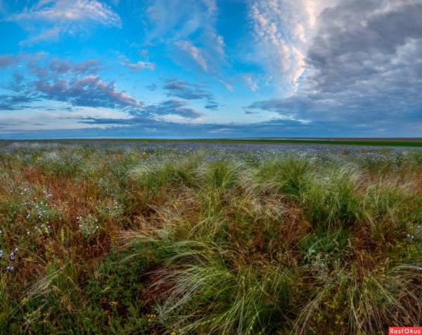 Республика Калмыкия степь