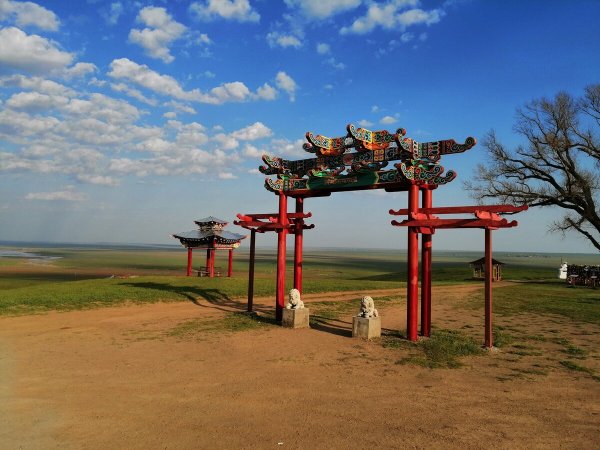 Дикие тюльпаны Маныч Гудило