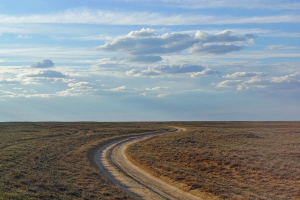 Одинокий Тополь в Калмыкии