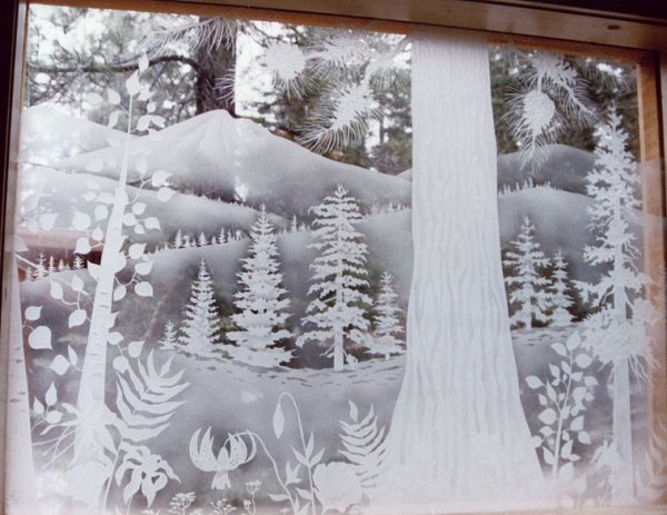 Окно в зимний лес