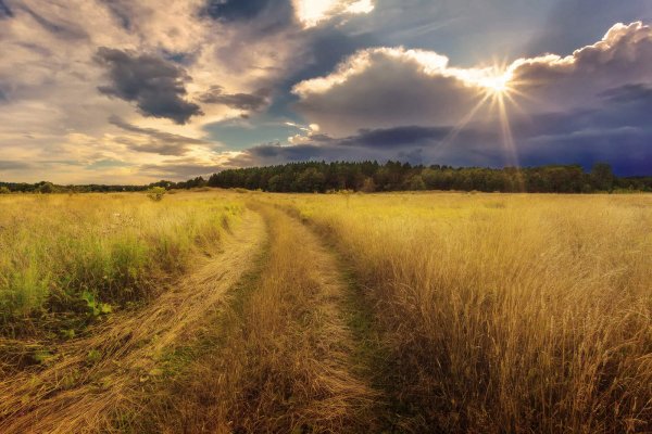 Республика Мордовия природа