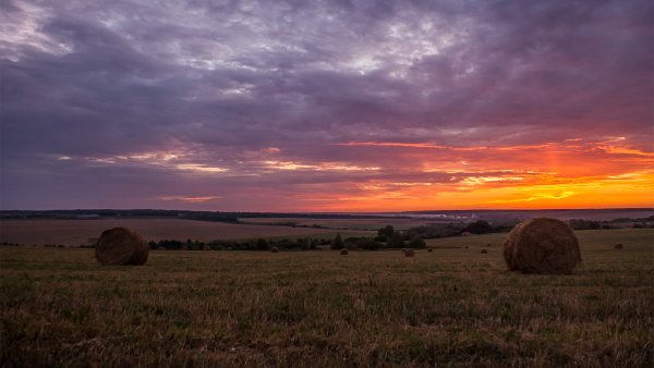 Саранск природа