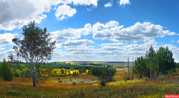 Республика Мордовия природа