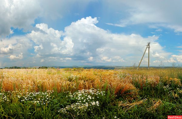 Мордовия пейзажи