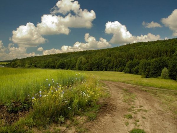 Республика Мордовия природа