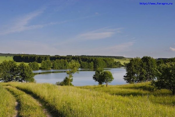 Черемишевский пруд Мордовия