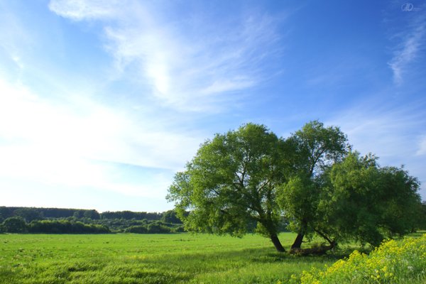 Республика Мордовия природа