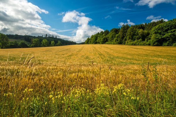 Природа Мордовии