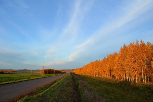 Саранск природа