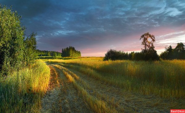 Августовский вечер пейзаж