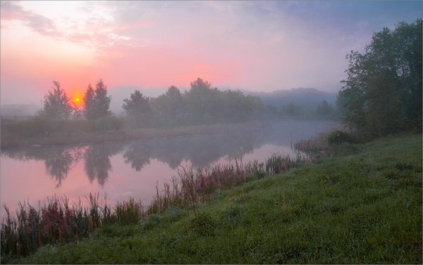 Рассвет на пруду