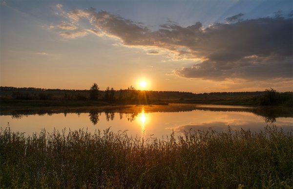 Природа Мордовии