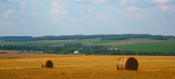 Поля Мордовии