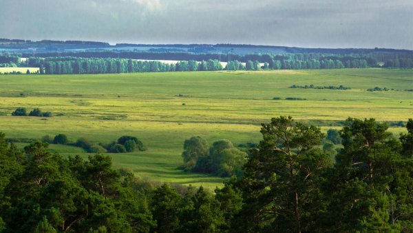 Мордовский национальный государственный парк Смольный