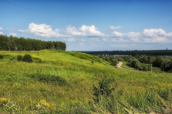 Тияпино Мордовия лес