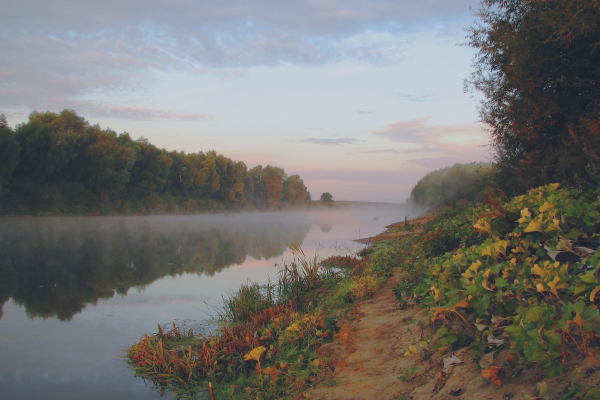 Речка Мокша Мордовия