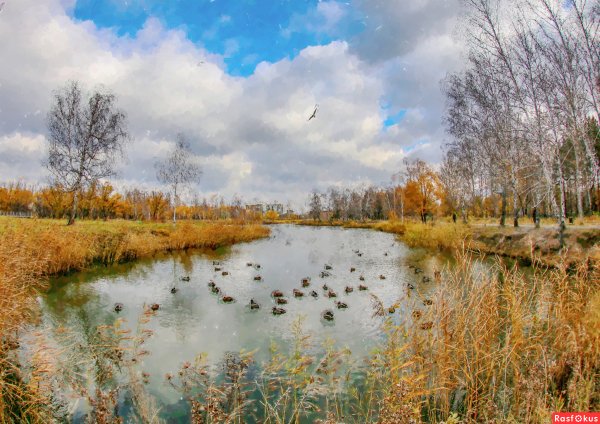 Омские пейзажисты