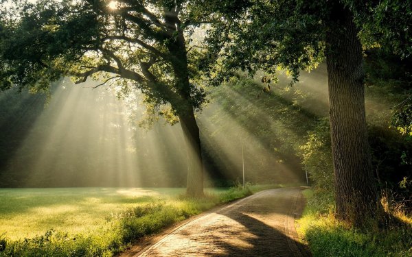 Солнечный пейзаж