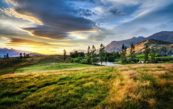 Новая Зеландия Луга