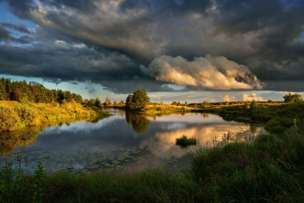 Пейзажи обработанные