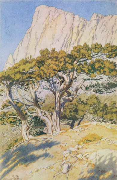 Билибин село Подужемье