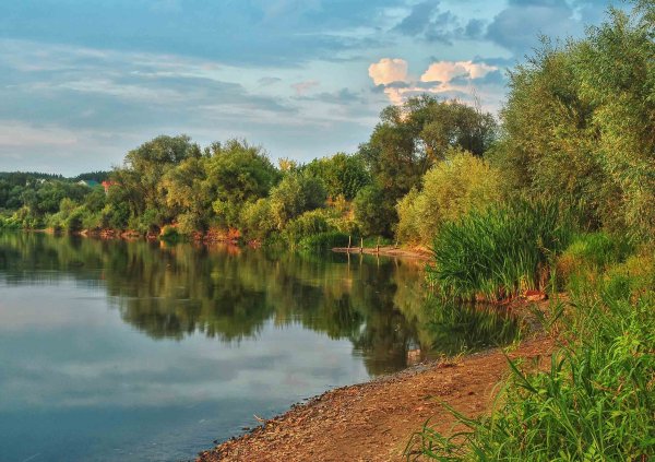 Донской пейзаж Ростовской области