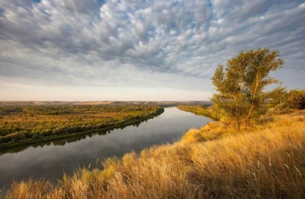 Донская степь Дон река