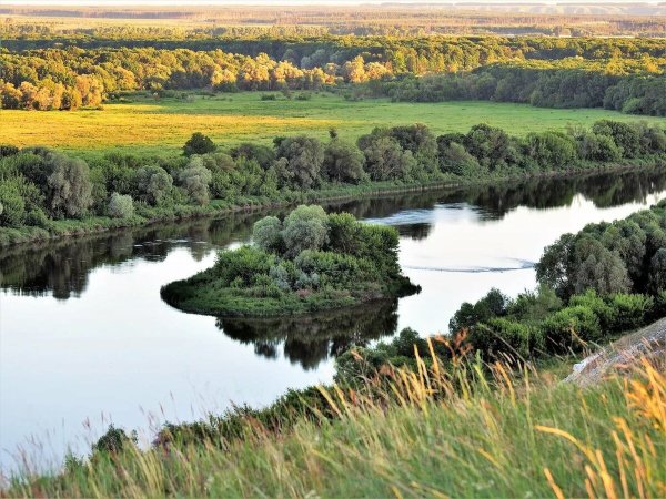 Река Дон в Ростовской области